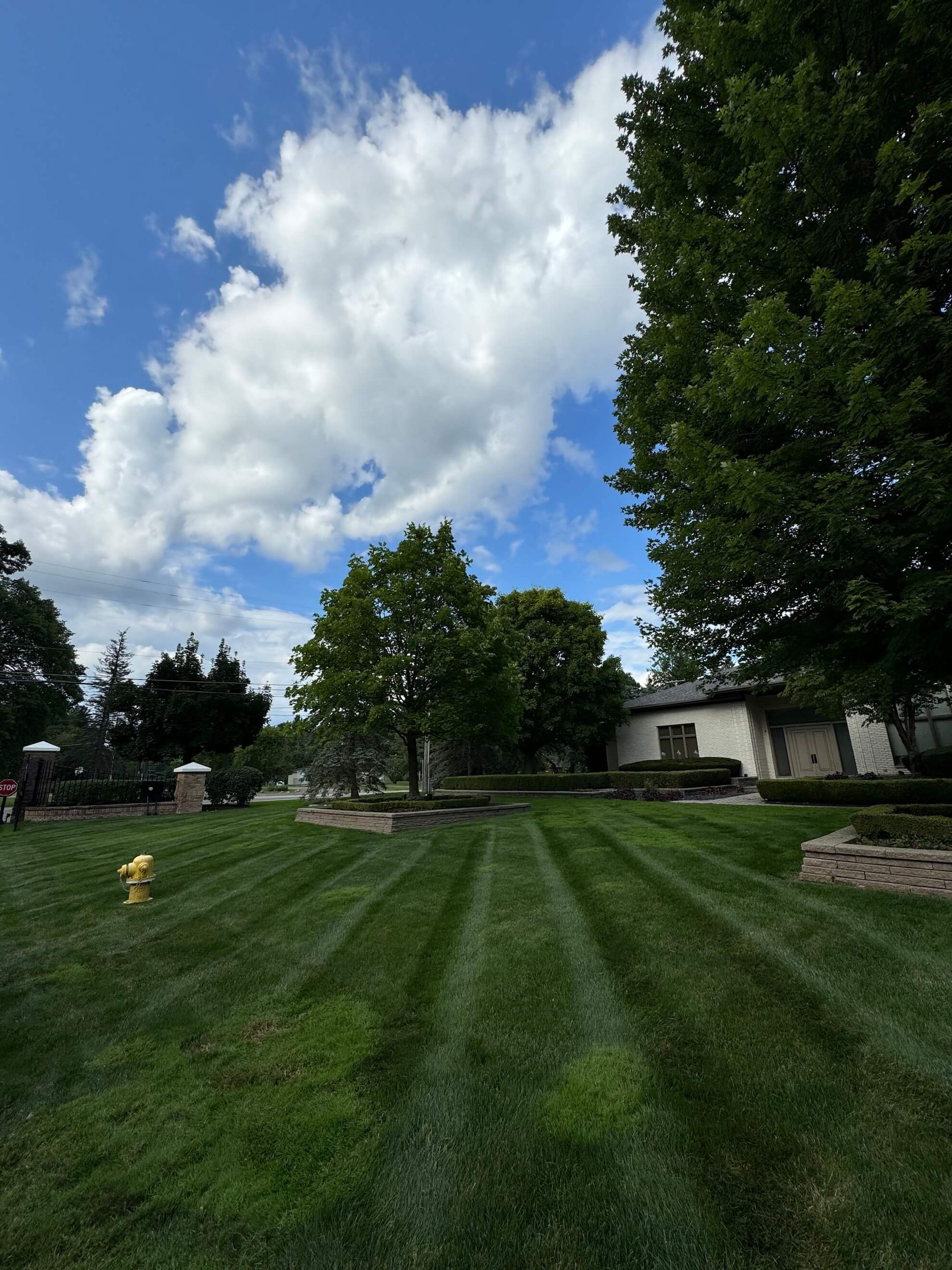 Lawn with striped pattern, trees, blue sky with white clouds, and a building on a sunny day.