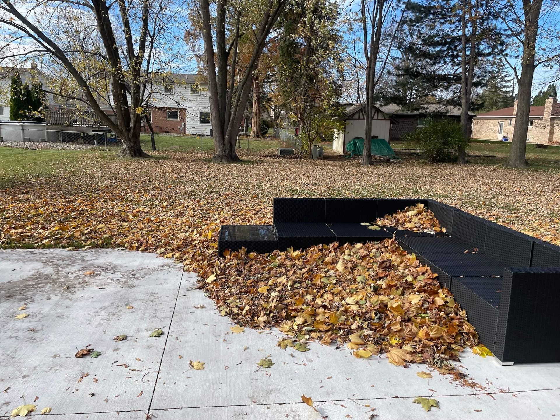 Backyard scene with black modular seating covered in fallen leaves; concrete patio.