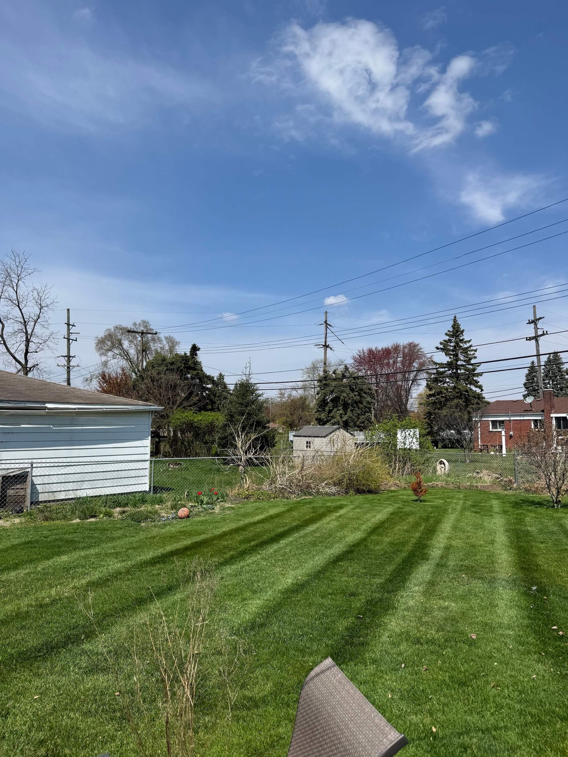 Green lawn with mowed stripes, small shed, trees, and power lines under a blue sky.