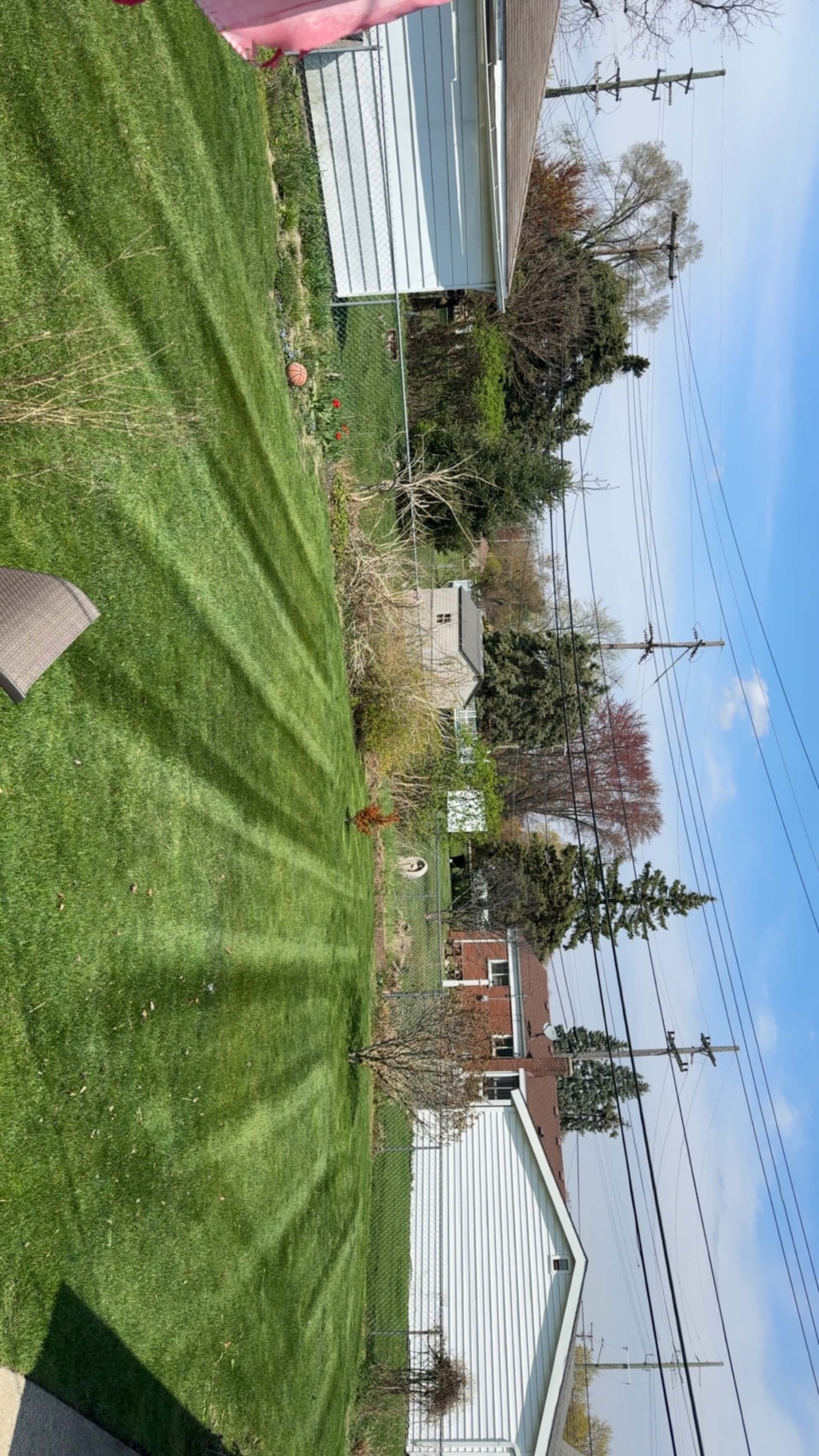 Lawn with neatly cut stripes, a house, and trees under a blue sky.