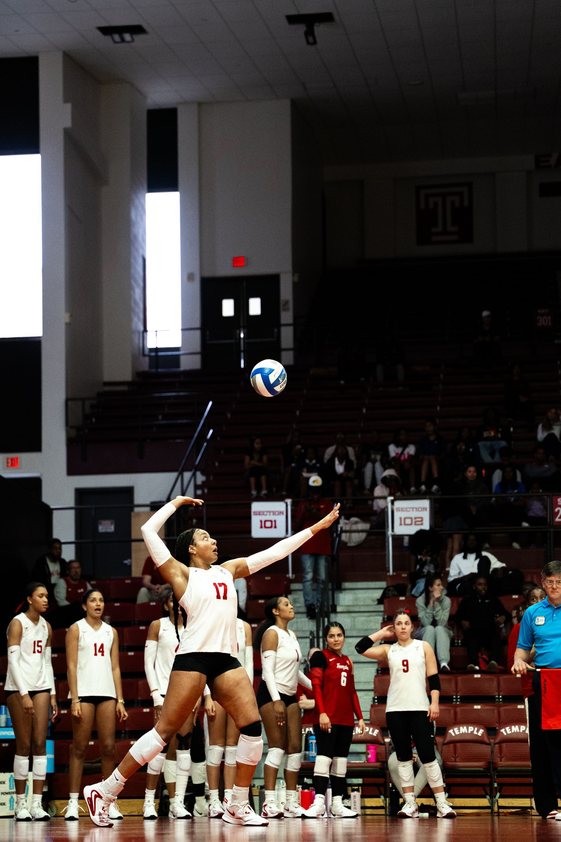 Setter.