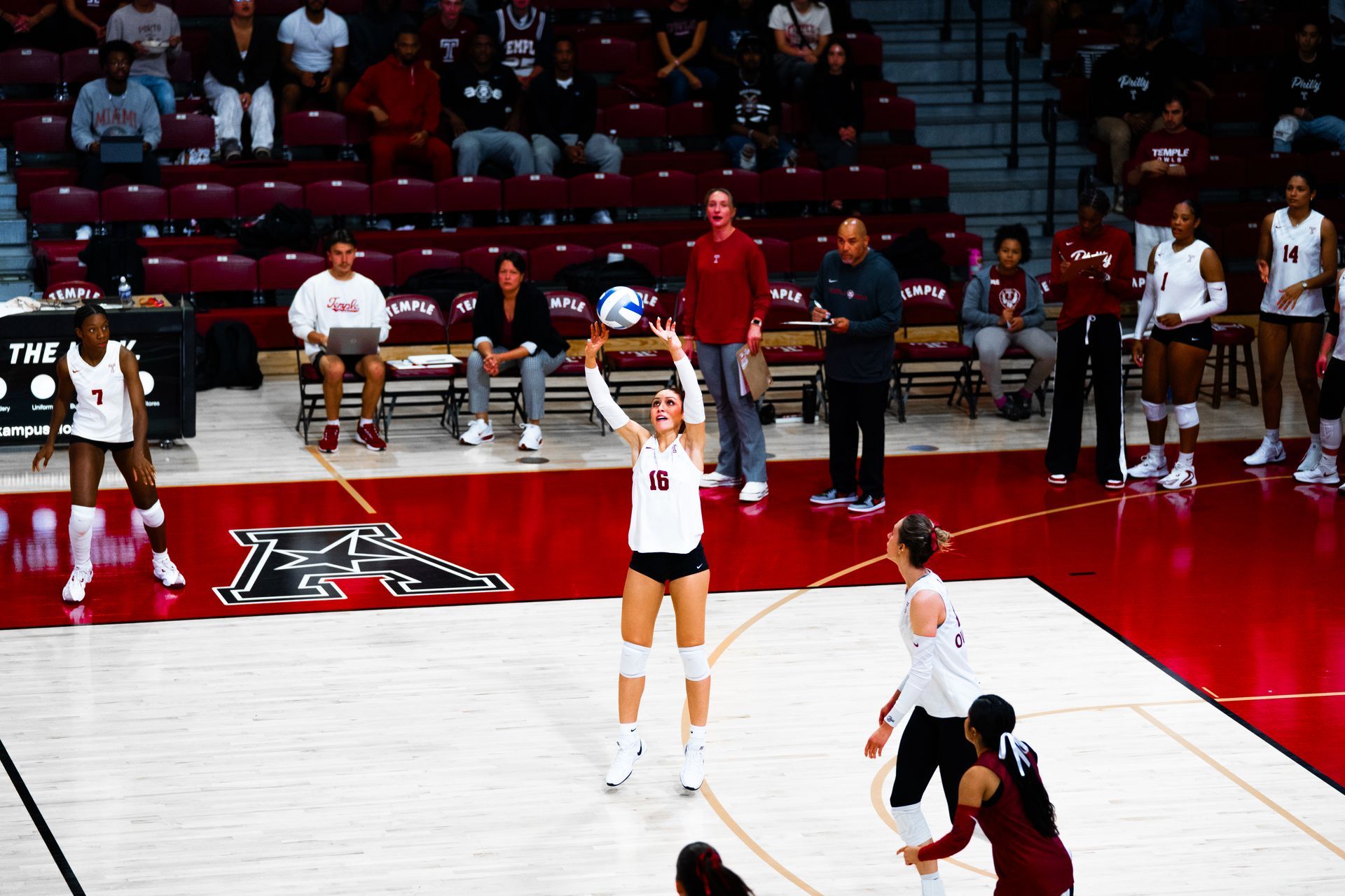 Setter.
