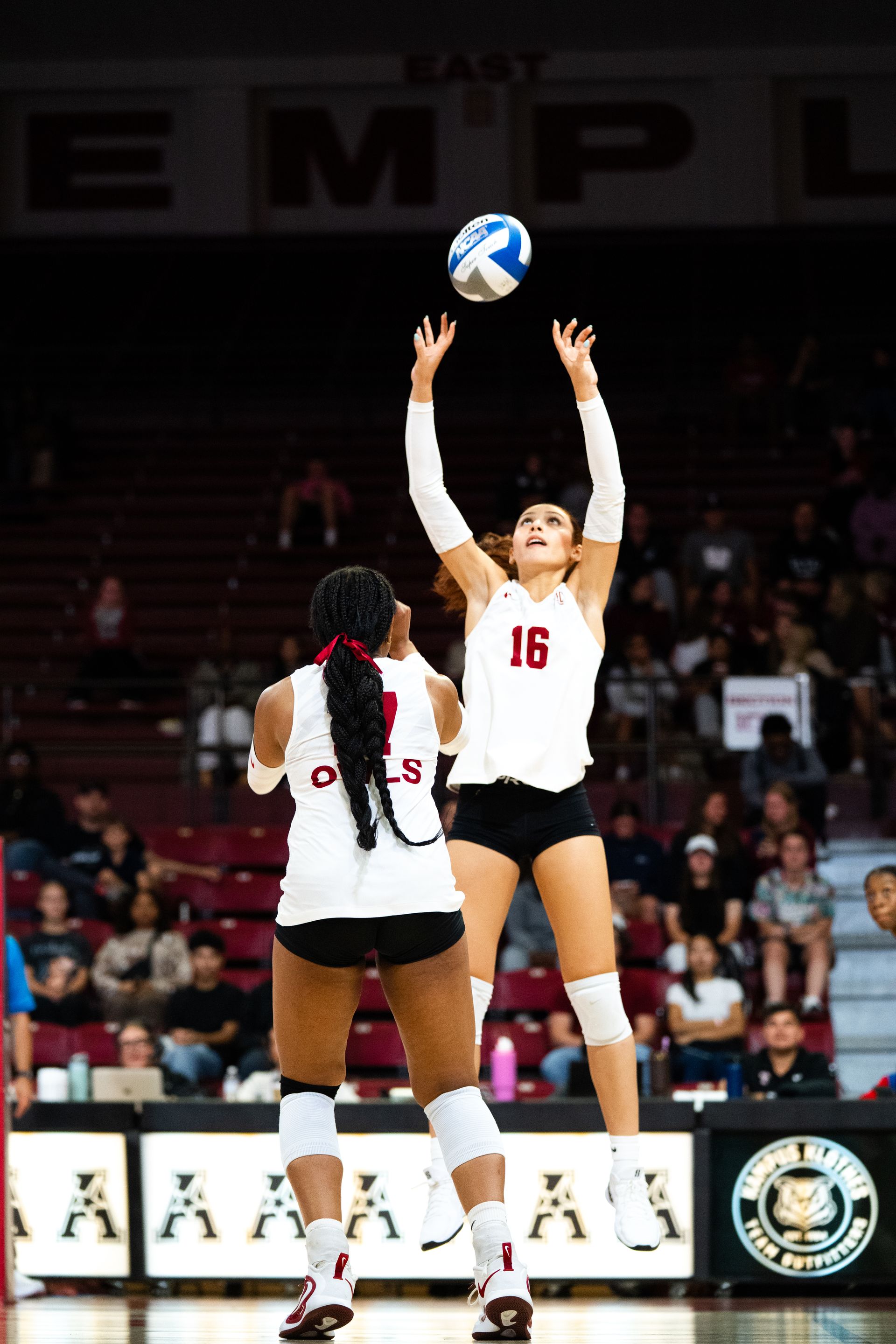 Libero and setter.
