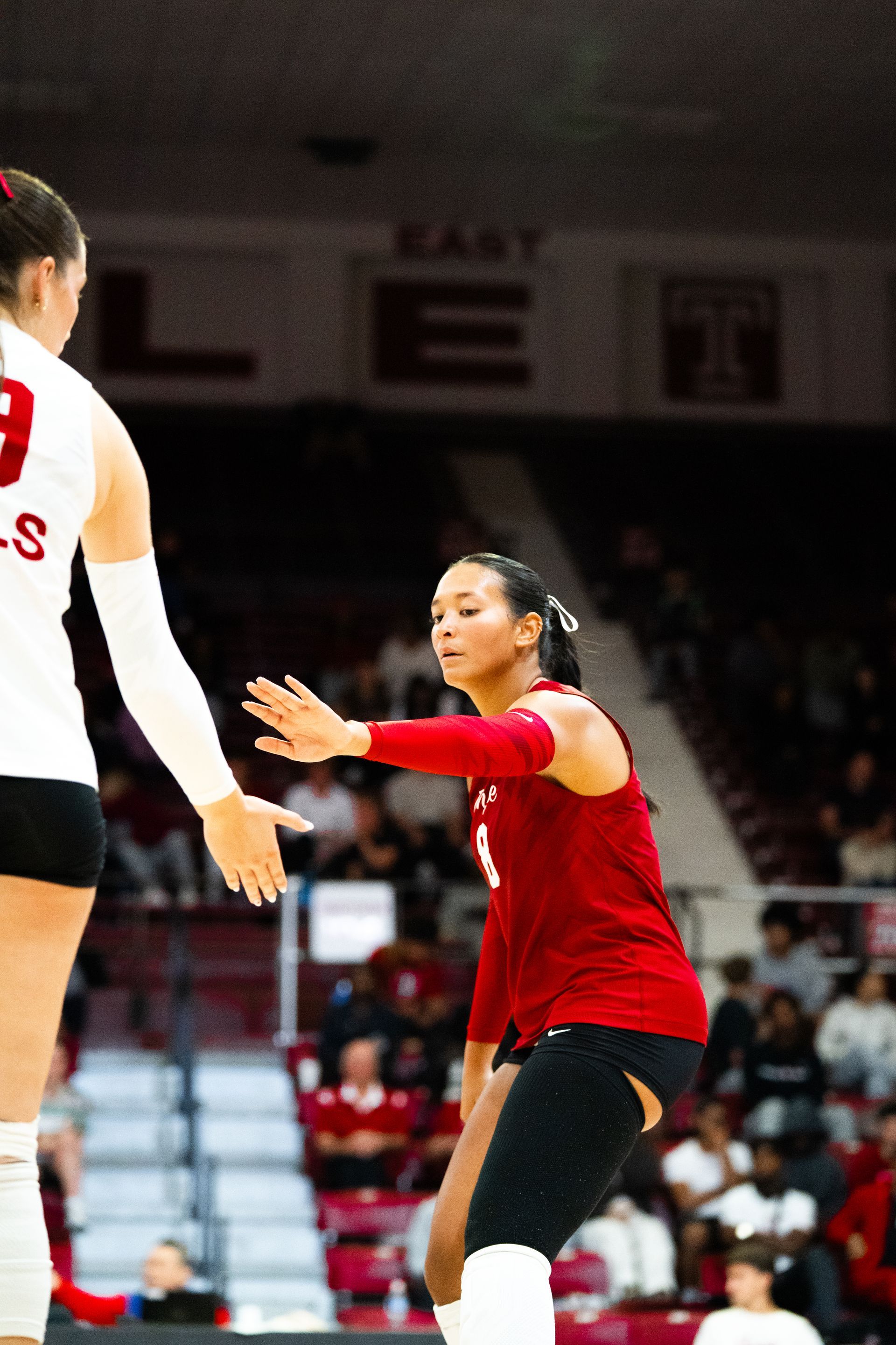 Libero and outside hitter.