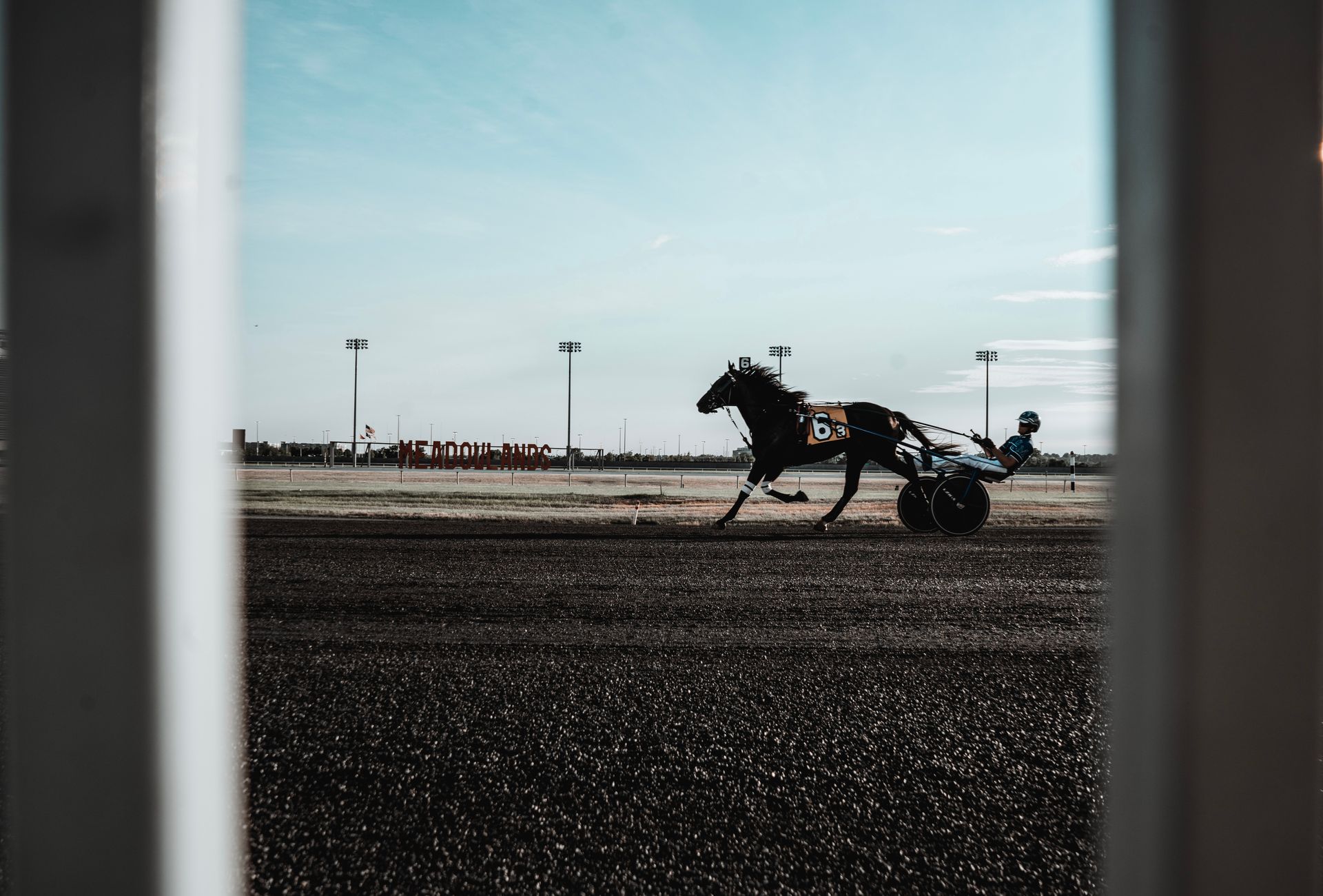 Horse and jockey.