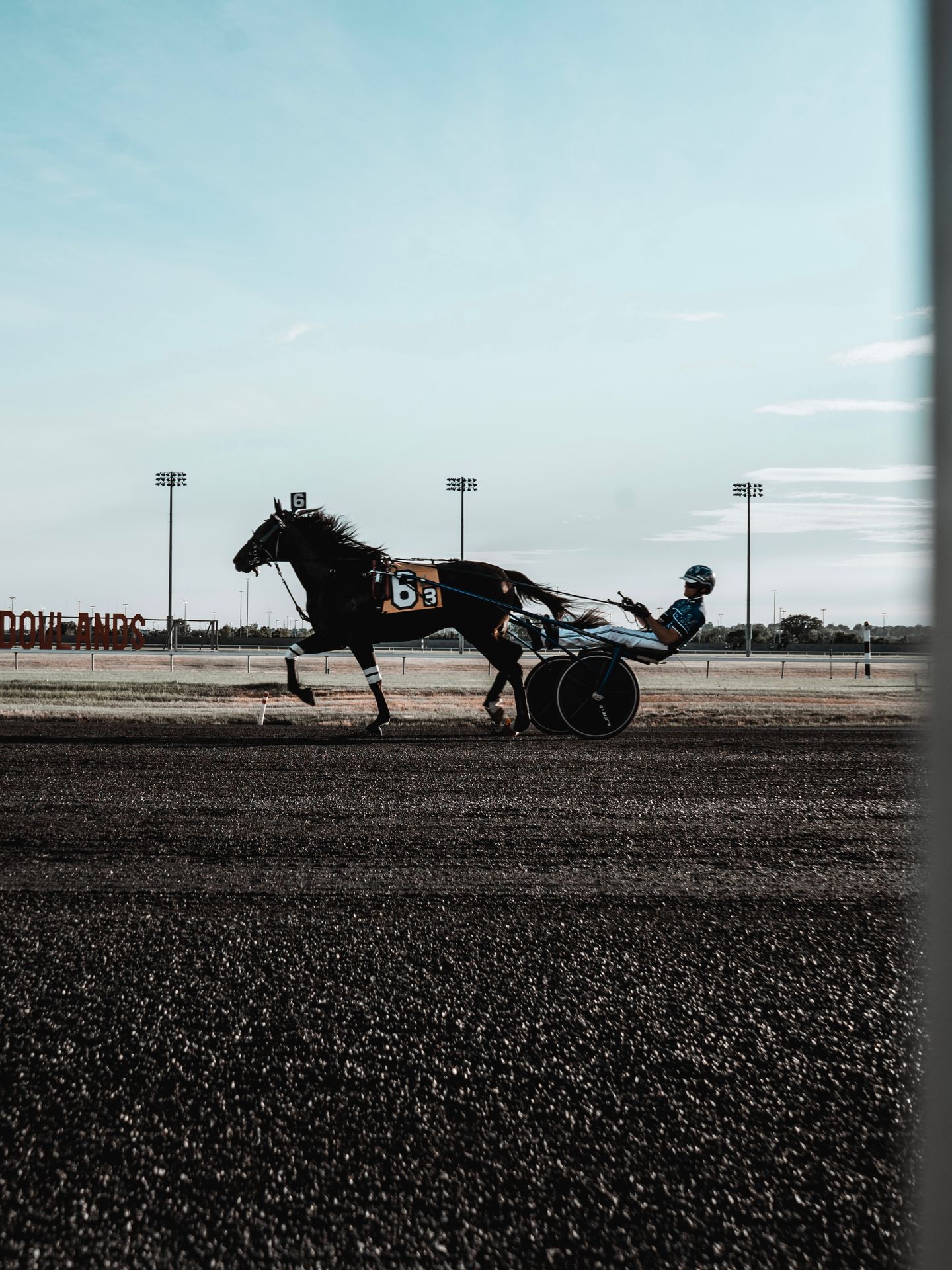 Horseracing.