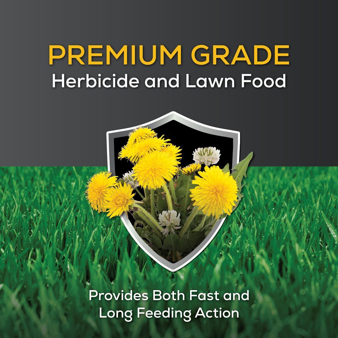 Premium grade herbicide and lawn food provides both fast and long feeding action