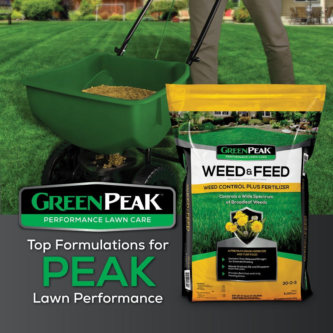 A person is spreading green peak weed and feed on a lush green lawn