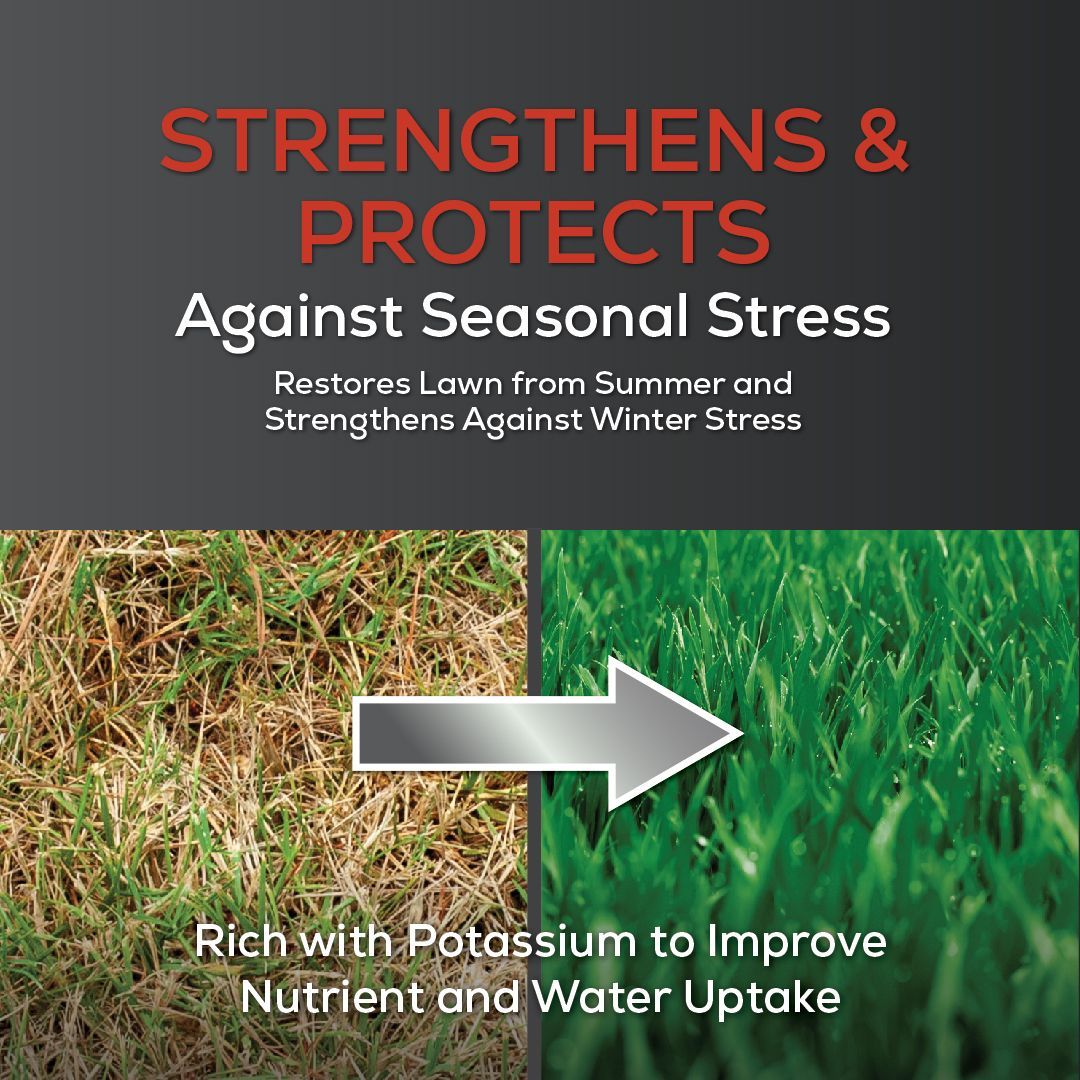 A picture of a lawn before and after being fertilized with potassium.
