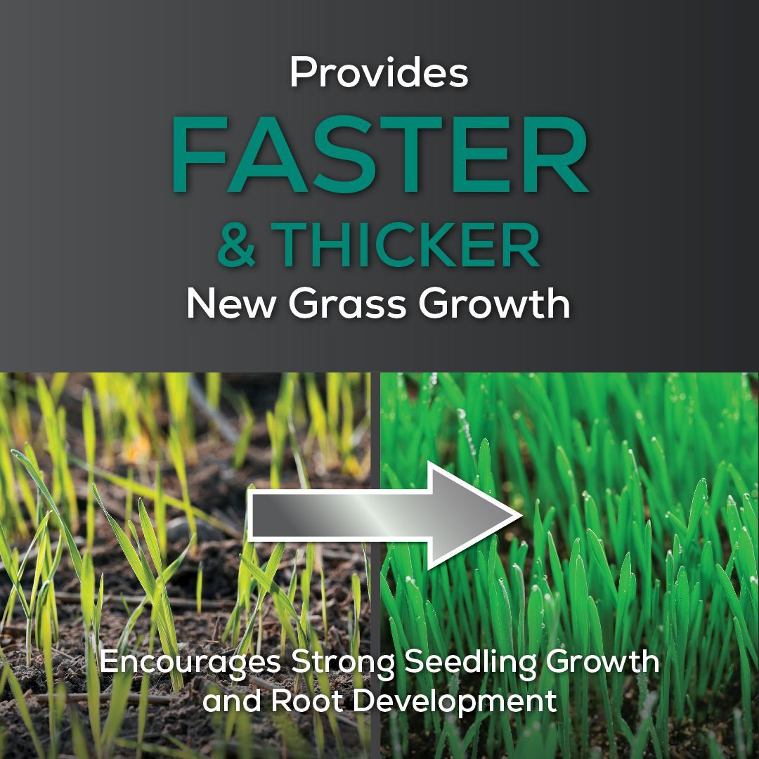 An advertisement for a product that provides faster and thicker new grass growth
