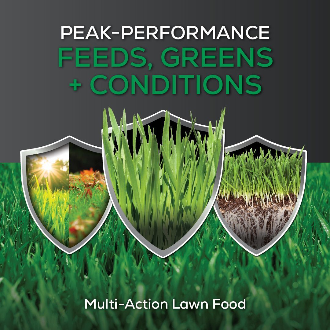 A poster for peak performance. feeds greens and conditions. multi-action lawn food