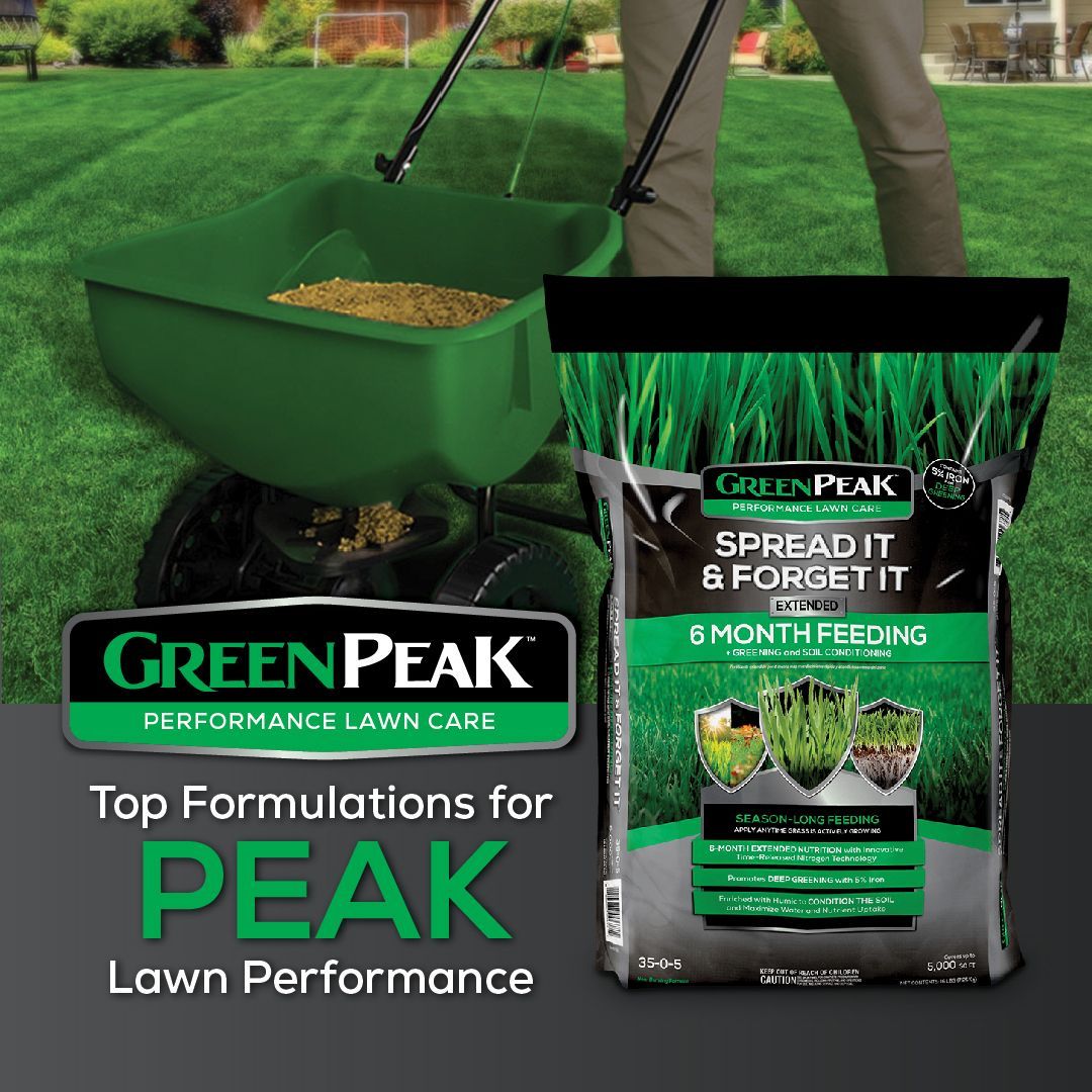 A person is spreading green peak spread it and forget it fertilizer on a lush green lawn
