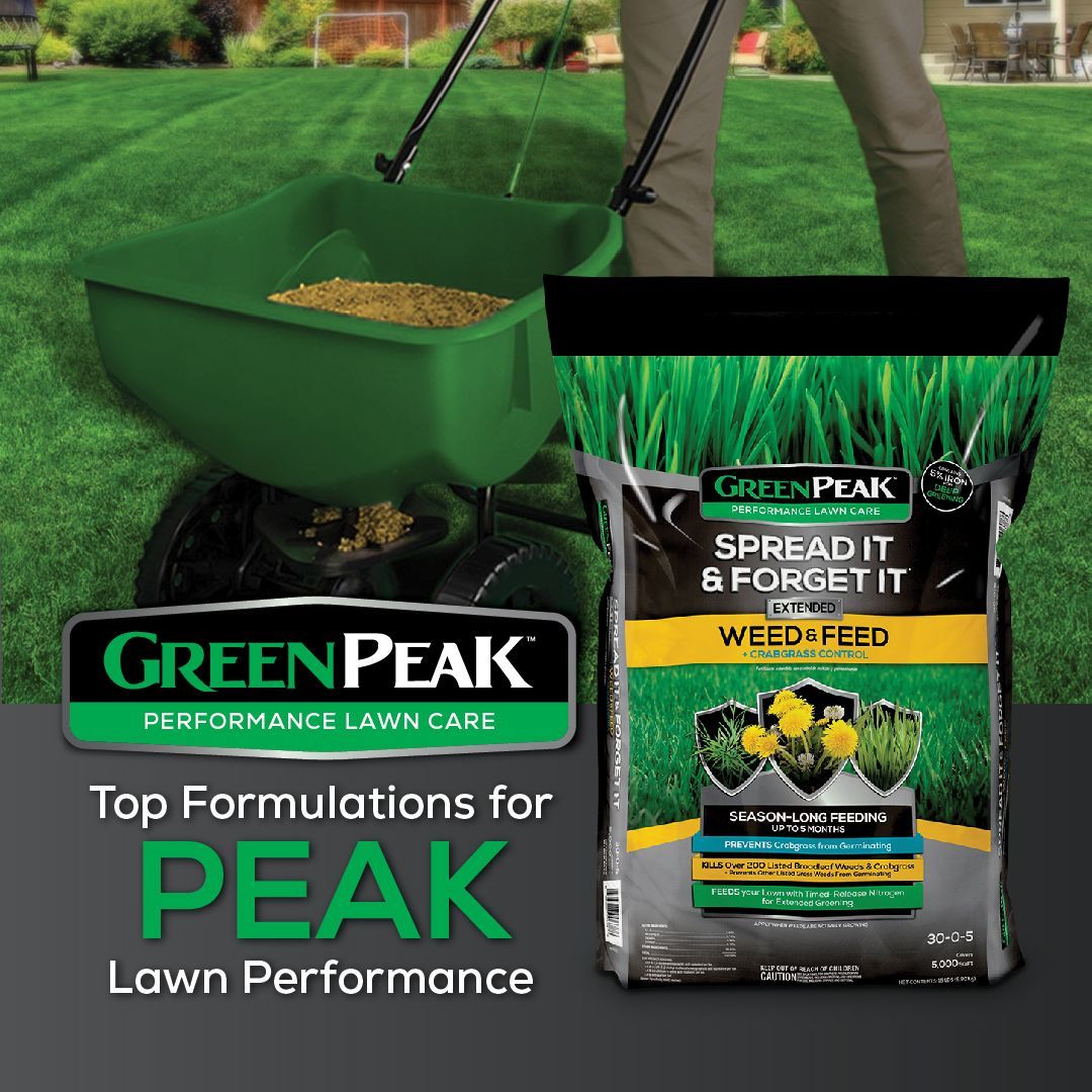 A person is spreading green peak spread it and forget it weed and feed on a lush green lawn