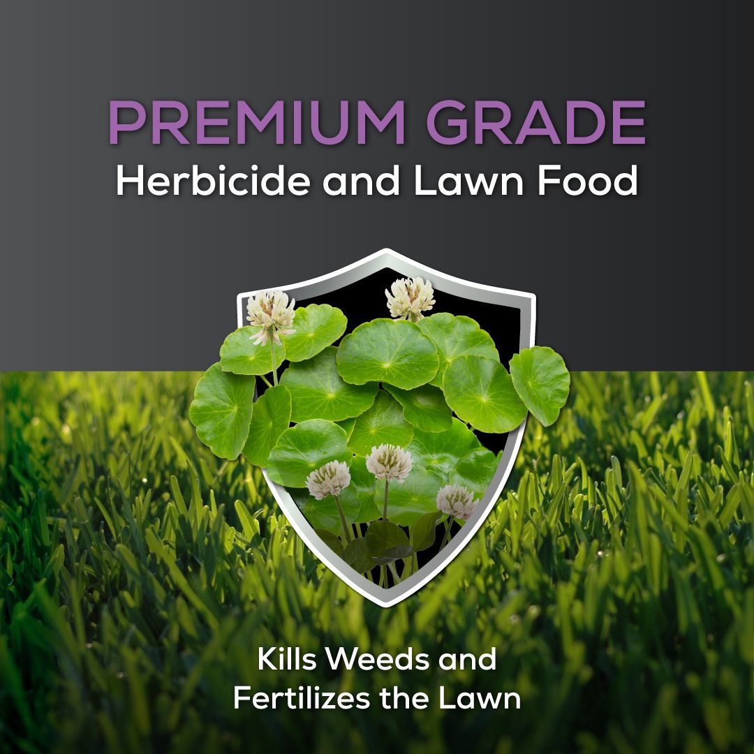 Premium grade herbicide and lawn food kills weeds and fertilizes the lawn