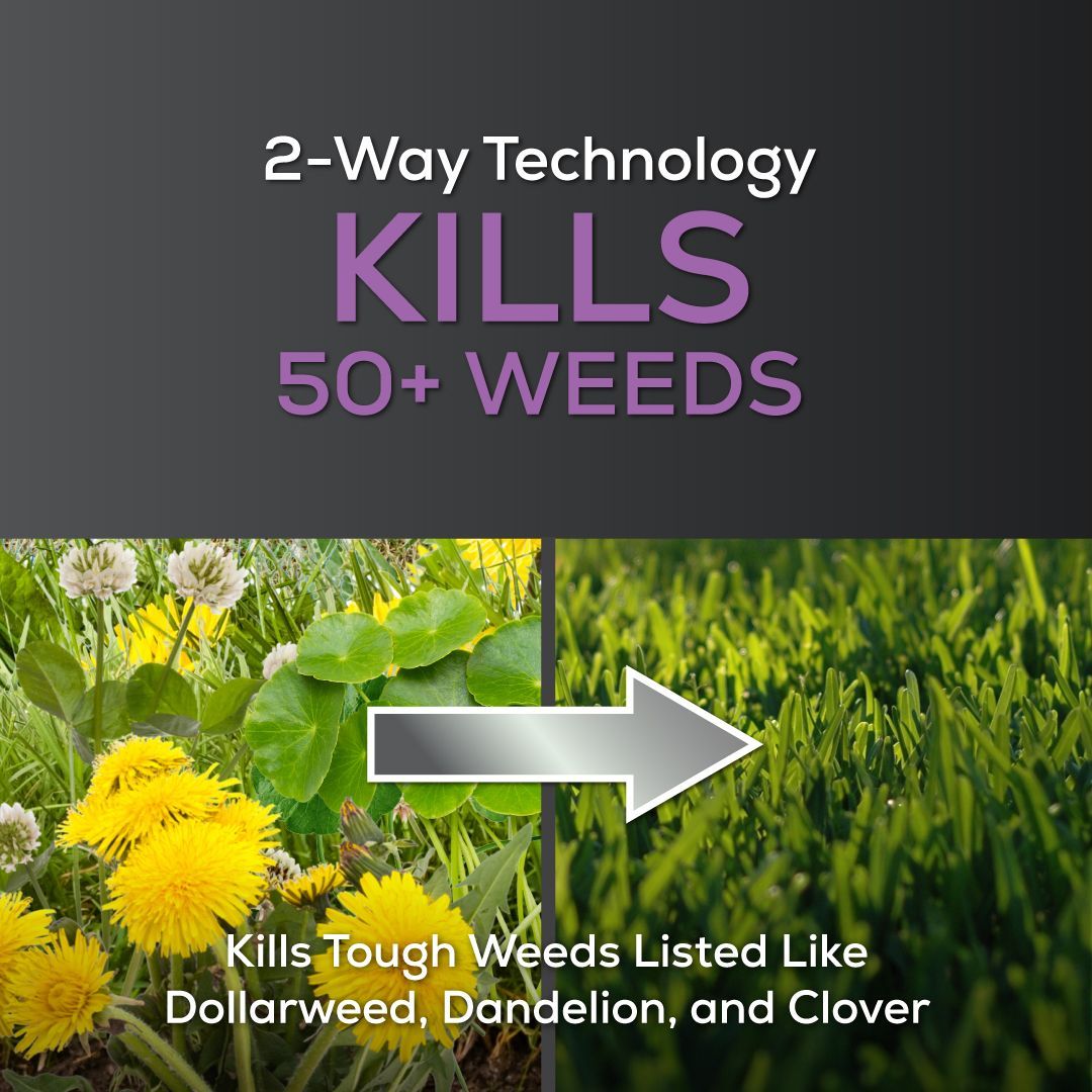 kills 50+ weeds and shows a lawn of dandelions before and after a lush green lawn