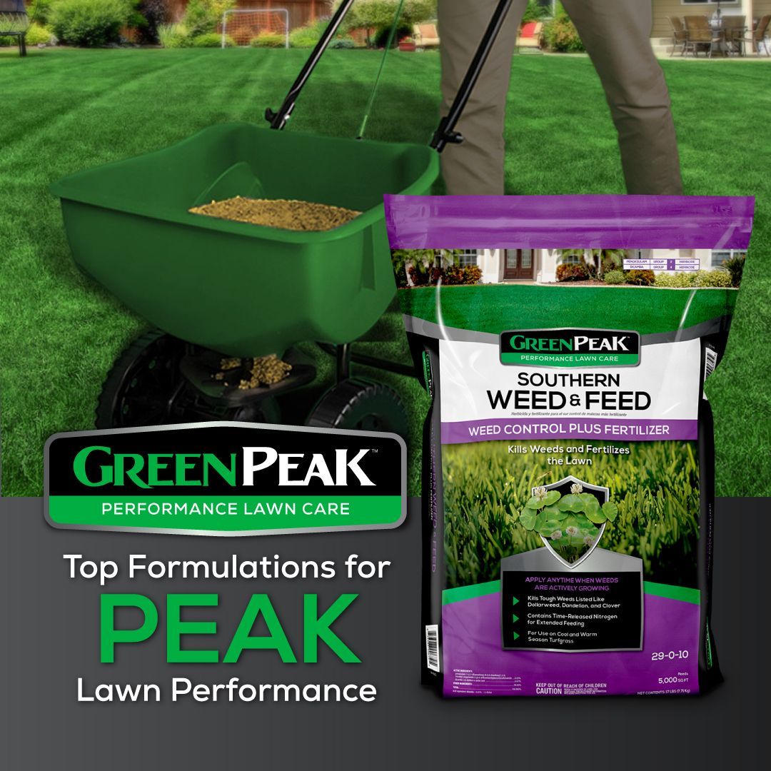 A person is spreading green peak southern weed & feed on a lush green lawn.