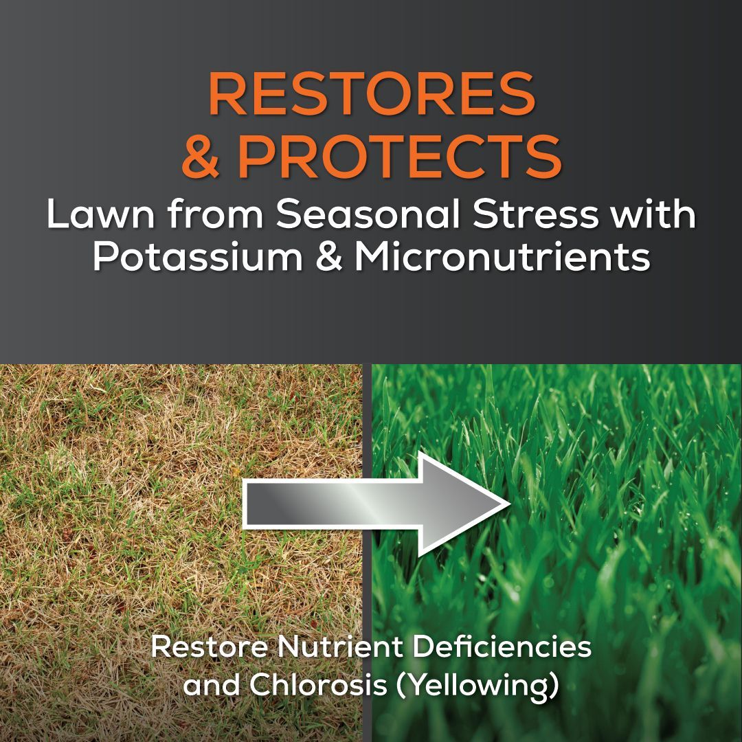 A picture of a lawn before and after being restored with potassium and micronutrients.