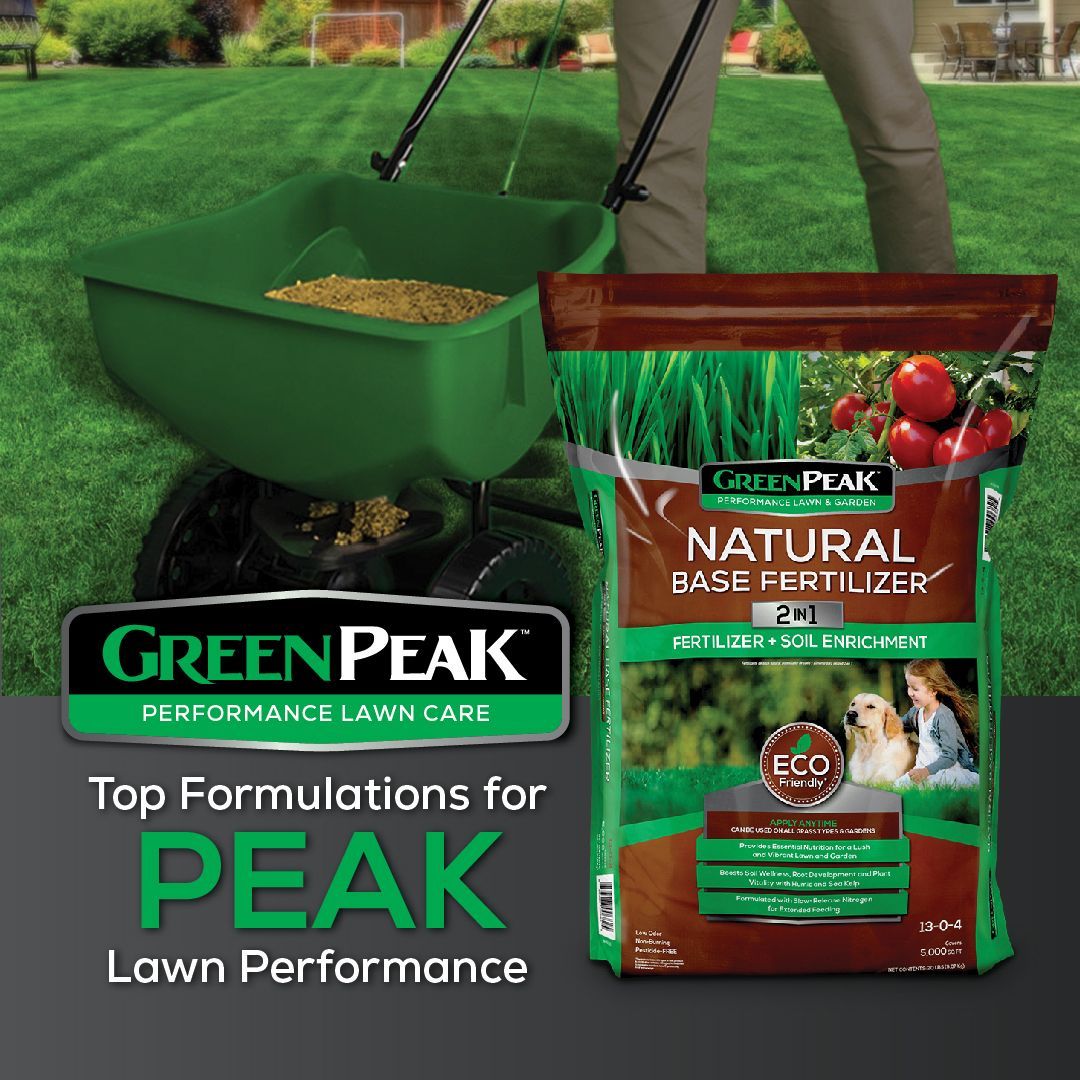 A person is spreading green peak natural grass fertilizer on a lush green lawn
