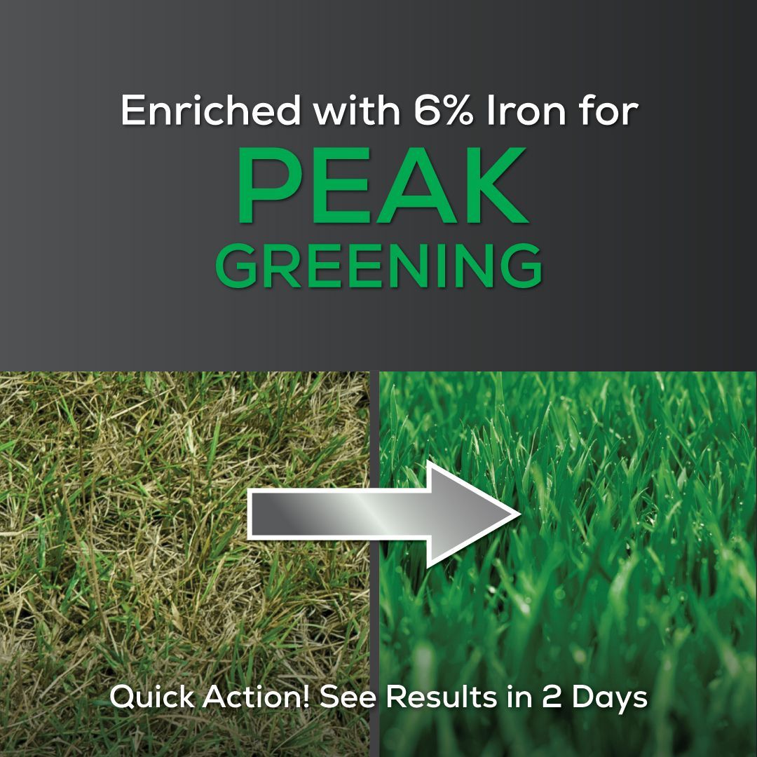 A picture of a lawn before and after being enriched with iron for peak greening