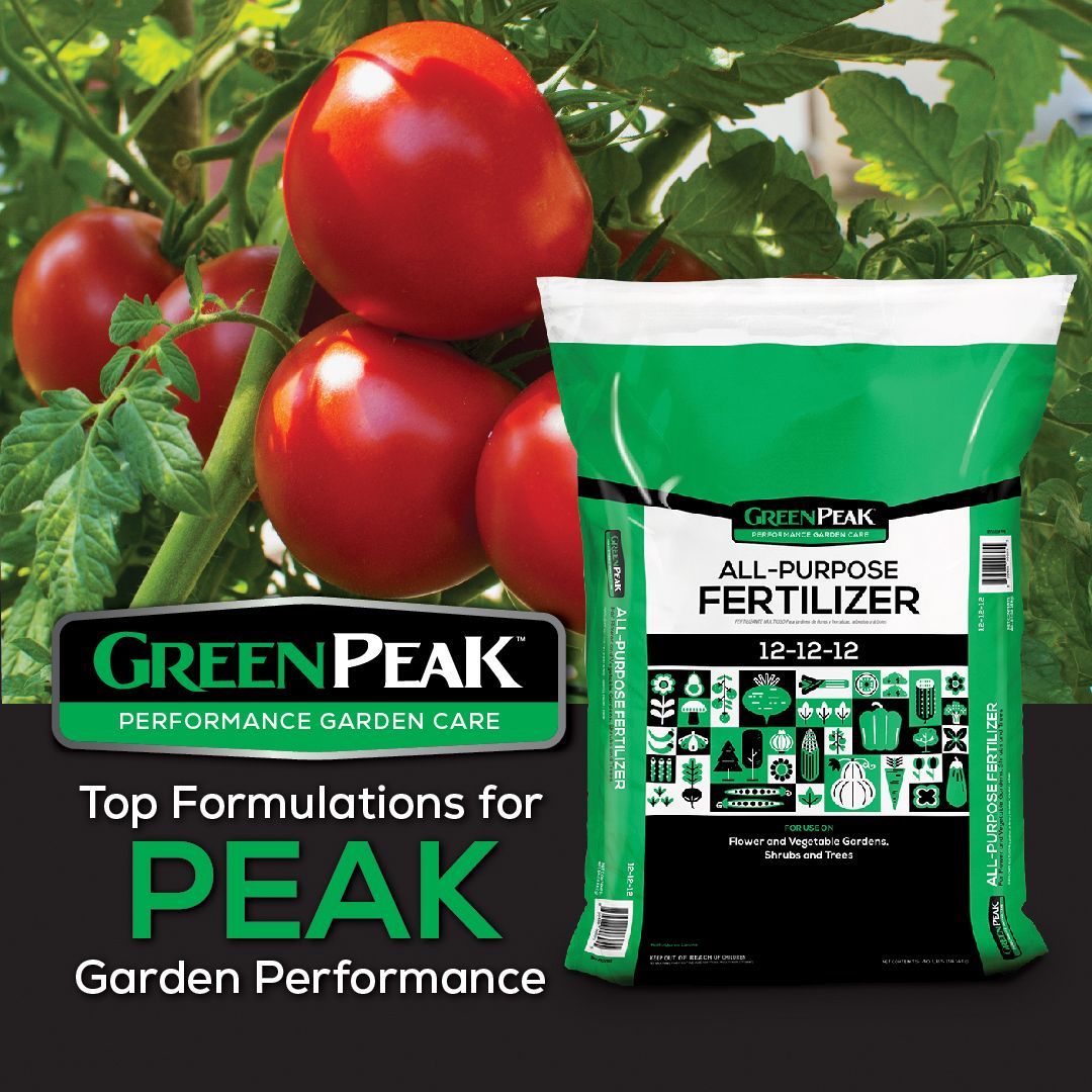 A bag of green peak all purpose fertilizer with tomatoes in the background