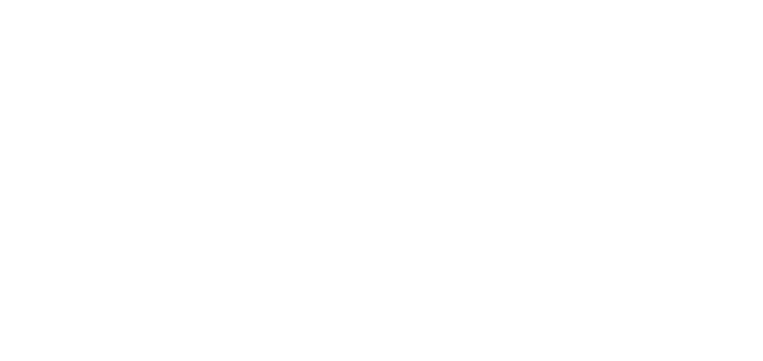 Skai SkaiLive LLC