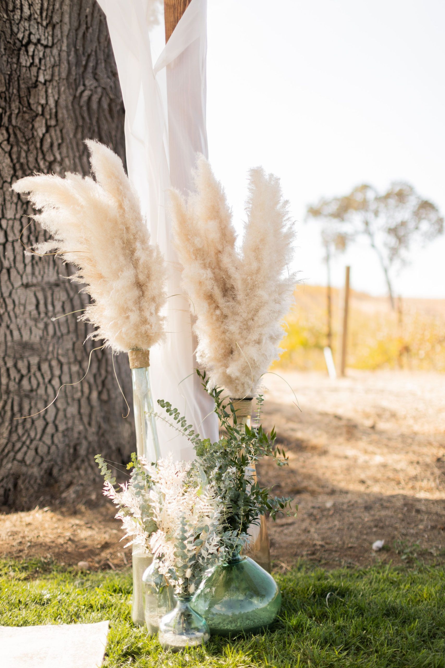 Pampas grass and greenery floral arrangement in glass vases near tree and draped fabric, outdoors.