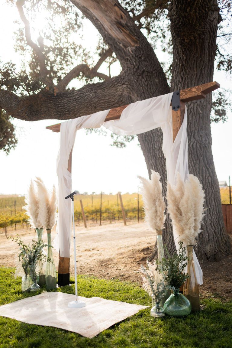 Wedding arch in a vineyard, decorated with draping fabric and pampas grass.