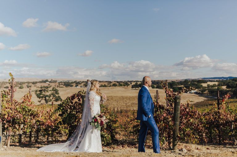 Bride and groom in wedding attire standing back-to-back in a vineyard, sunny day.
