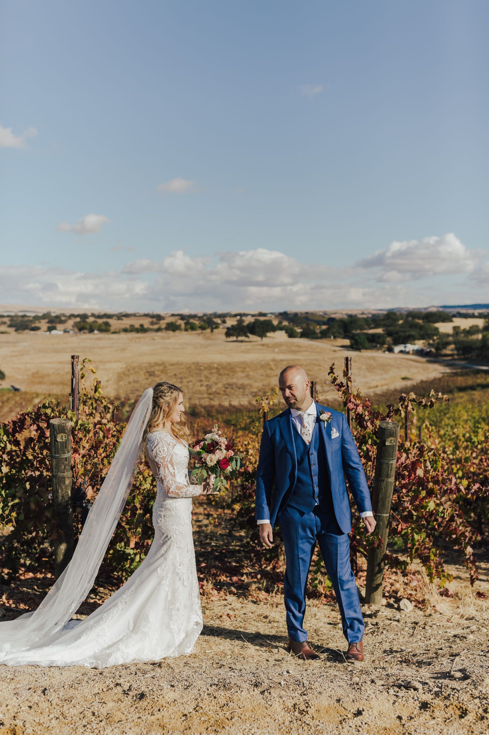 Bride and groom pose on a hillside, overlooking a vineyard. The groom is in a blue suit, and the bride is wearing a white gown with a veil.