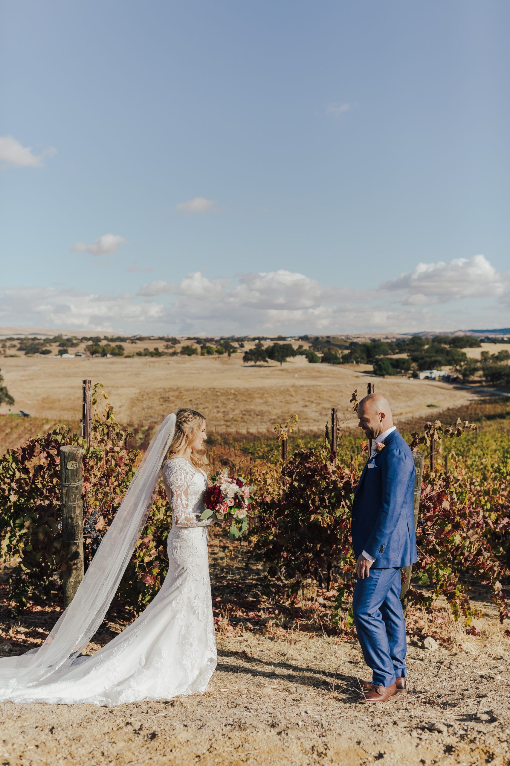 Bride and groom at a vineyard on a sunny day. Bride in white dress, groom in blue suit, both facing each other.