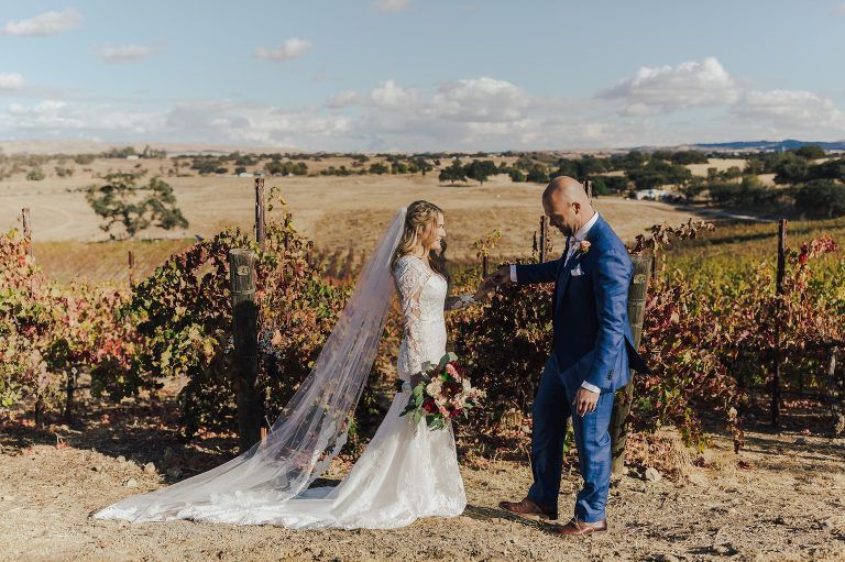 Bride and groom in vineyard. She wears white gown and veil, he wears blue suit. They face each other. Sunny day.