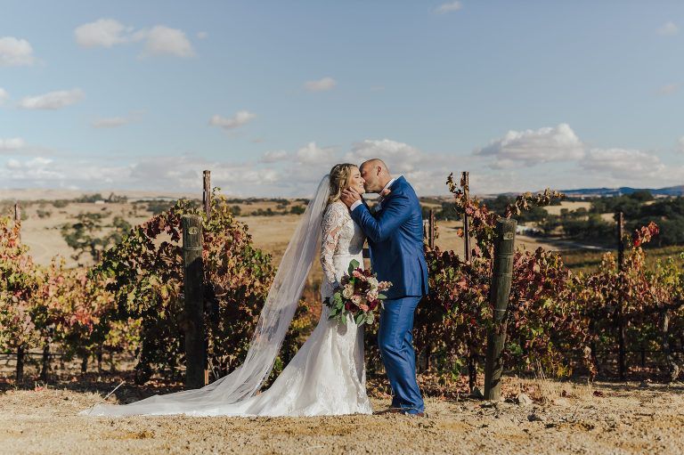Vineyard in Paso Robles Wine Country