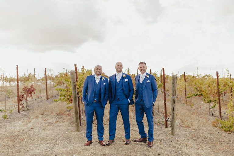 Three men in blue suits stand in a vineyard under an overcast sky.