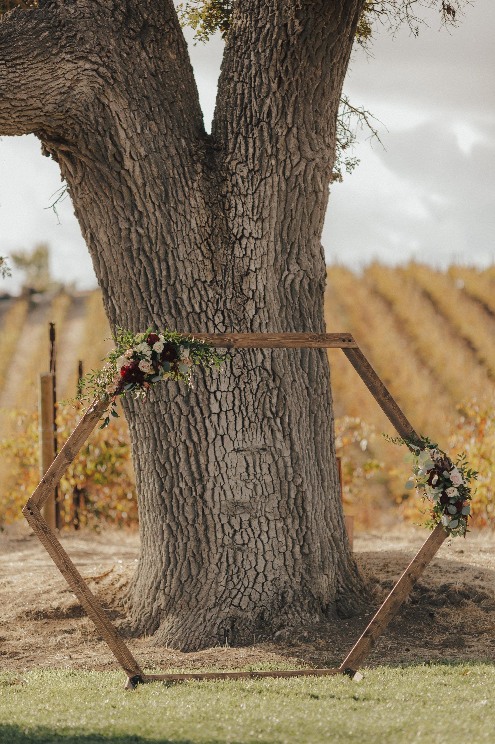 Hexagon wooden arch with floral decorations in front of a large tree, vineyard in the background.