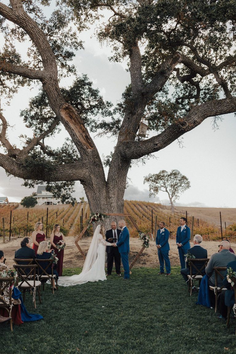 Wedding ceremony under a large tree; bride and groom at altar, guests seated, vineyard backdrop.