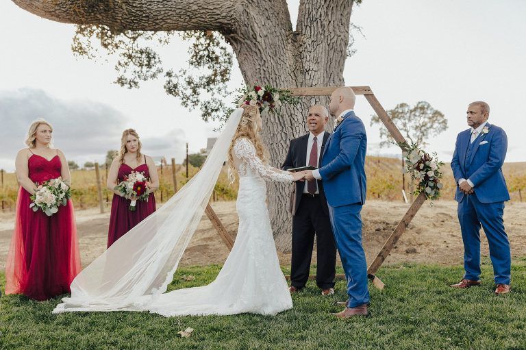 Wedding ceremony: Bride and groom exchanging vows under an arbor, bridesmaids, officiant, outdoor setting.