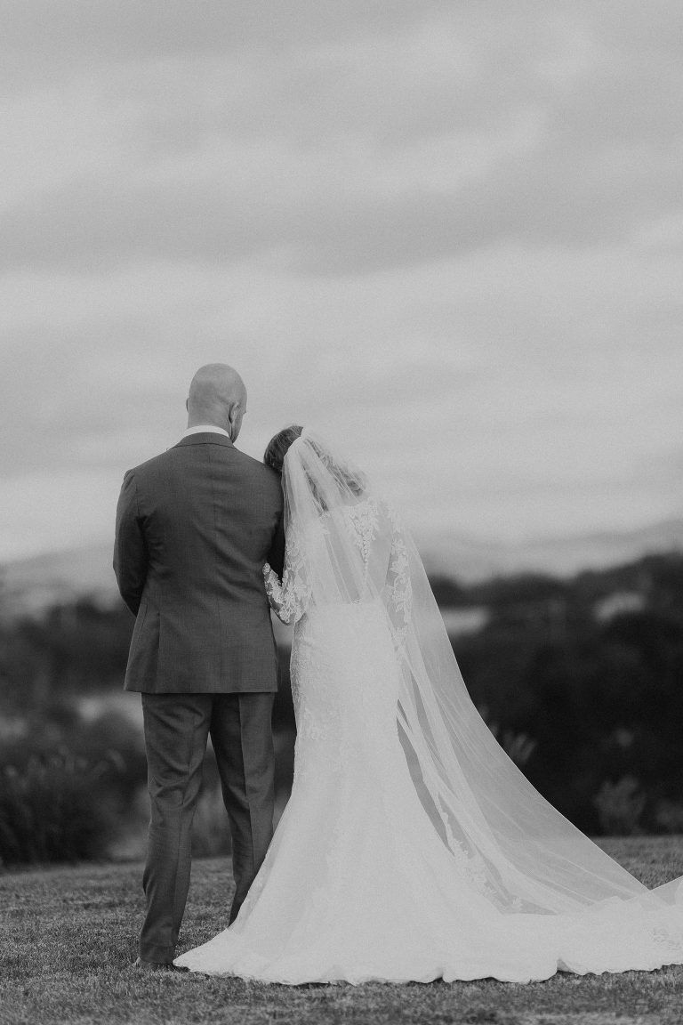 Wedding couple, man in suit and bride in a dress with a veil, overlooking a landscape.