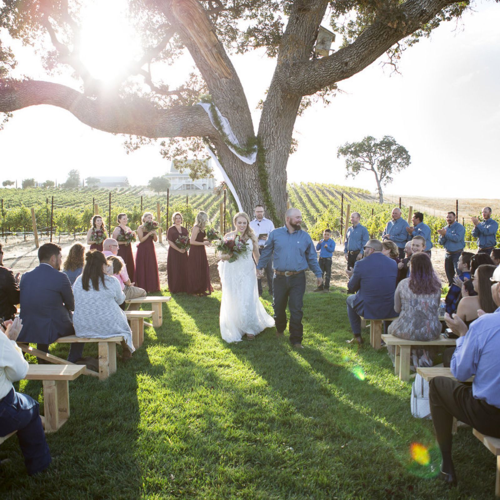 Vineyard Shapes Paso Robles Weekend Weddings