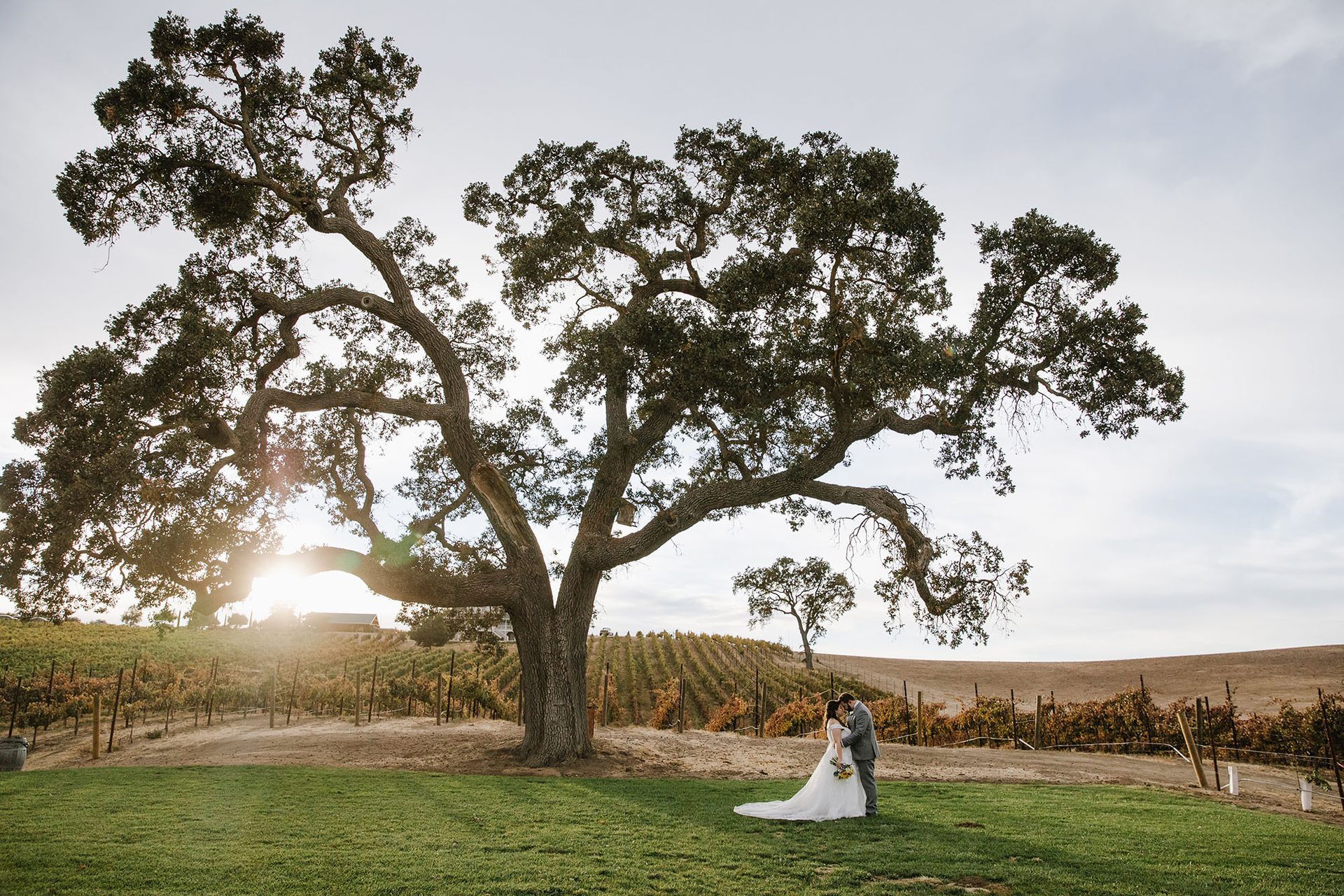 Paso Robles Vows on a Central Coast Vineyard Estate
