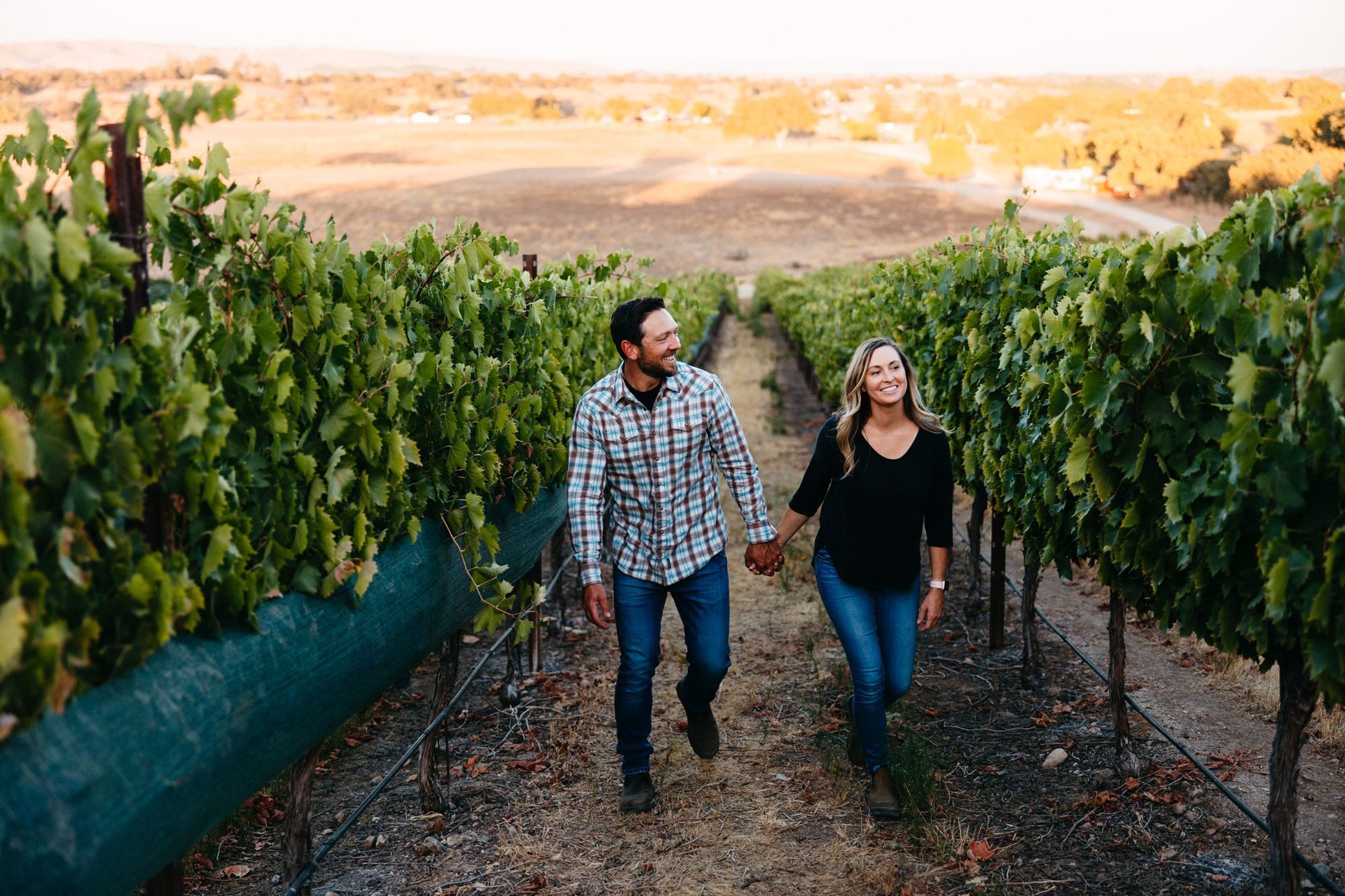 Couple walking and holding hands in a vineyard, looking at each other. Sunny day.