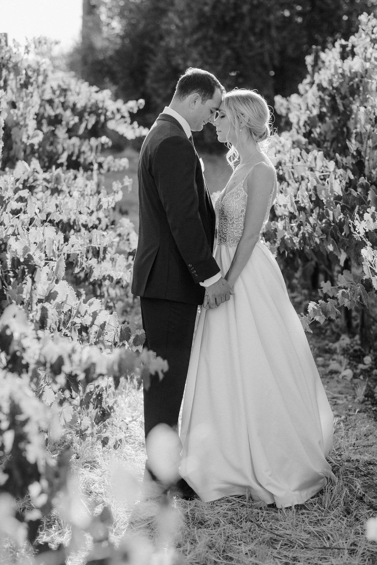 Newlywed couple holding hands, standing in a vineyard, heads close together.