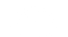 White background.