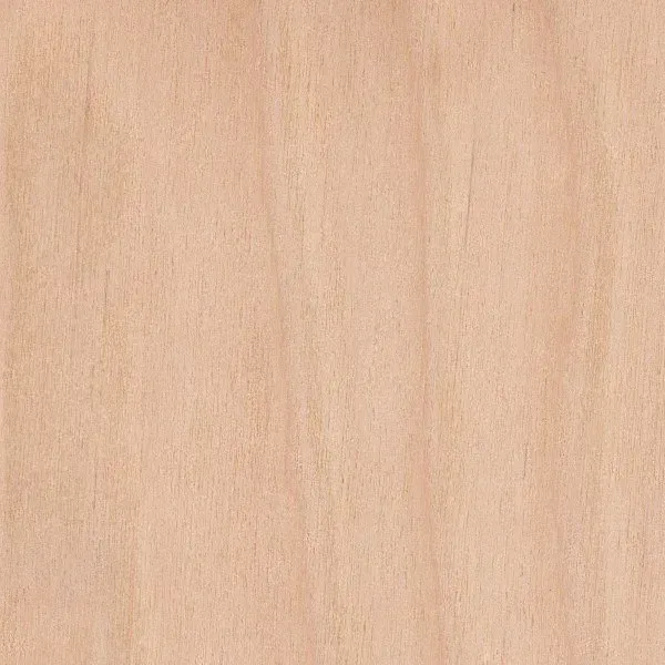 Close-up of light-colored wood grain with vertical lines, showcasing the texture.