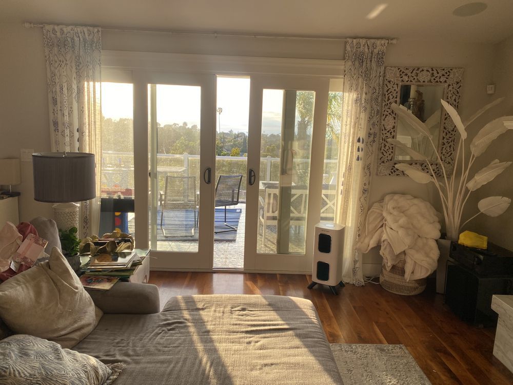 Sunlit living room with sofa, rug, French doors, and a large plant by the window