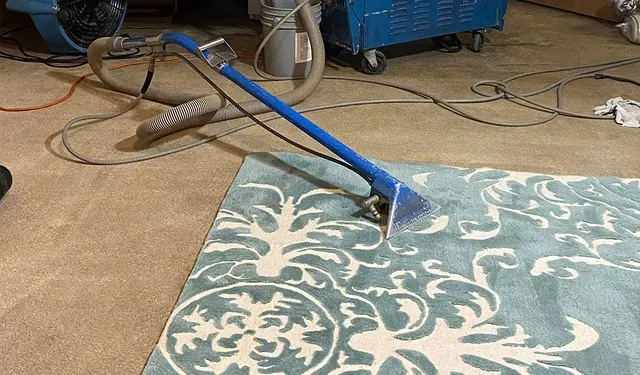 Blue Carpet Cleaning — Gobles, MI — Zantello’s Interior Care, LLC