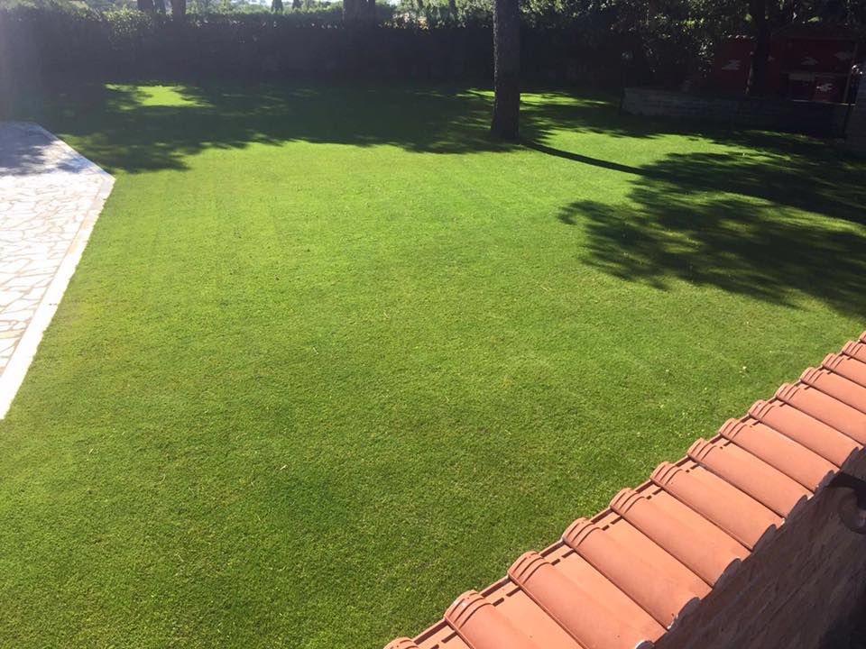 giardino esterno di abitazione