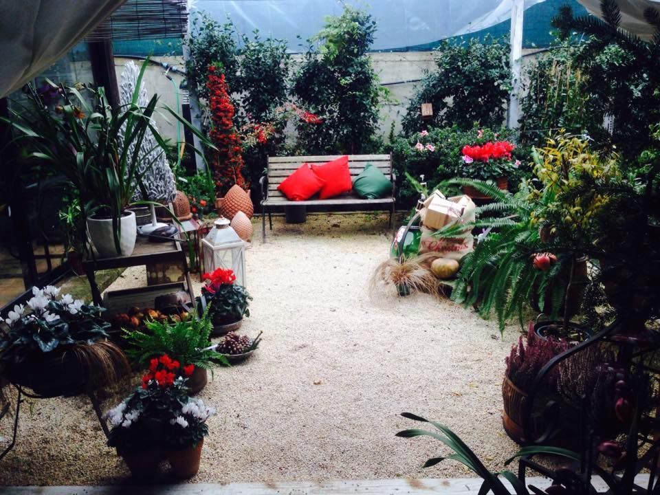 progettazione area verde con piante, panchina e cuscini