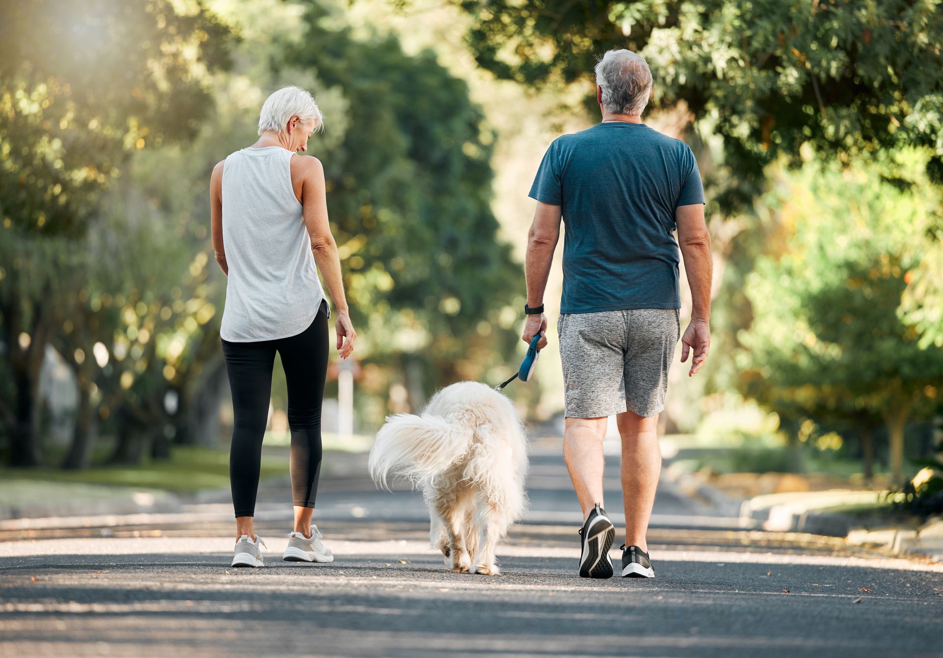 Two people walking a fluffy white dog on a tree-lined path in sunlight