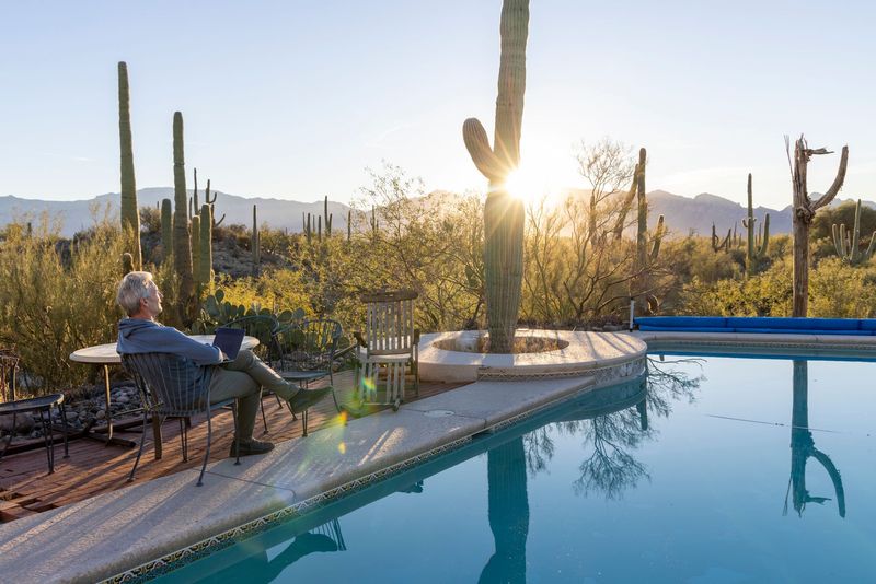 Person relaxing by a pool at sunset in a desert garden with tall cacti
