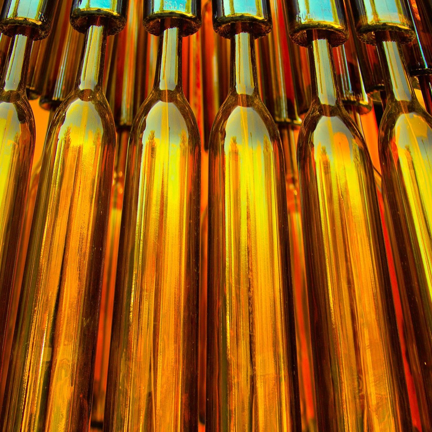 A bunch of wine bottles are lined up in a row